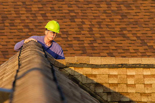 Best Roof Restoration Services  in Valmeyer, IL